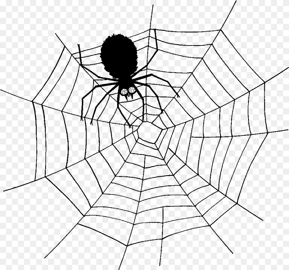 Spider Web Southern Black Widow Clip Art King And The Spider Story, Gray Free Png Download