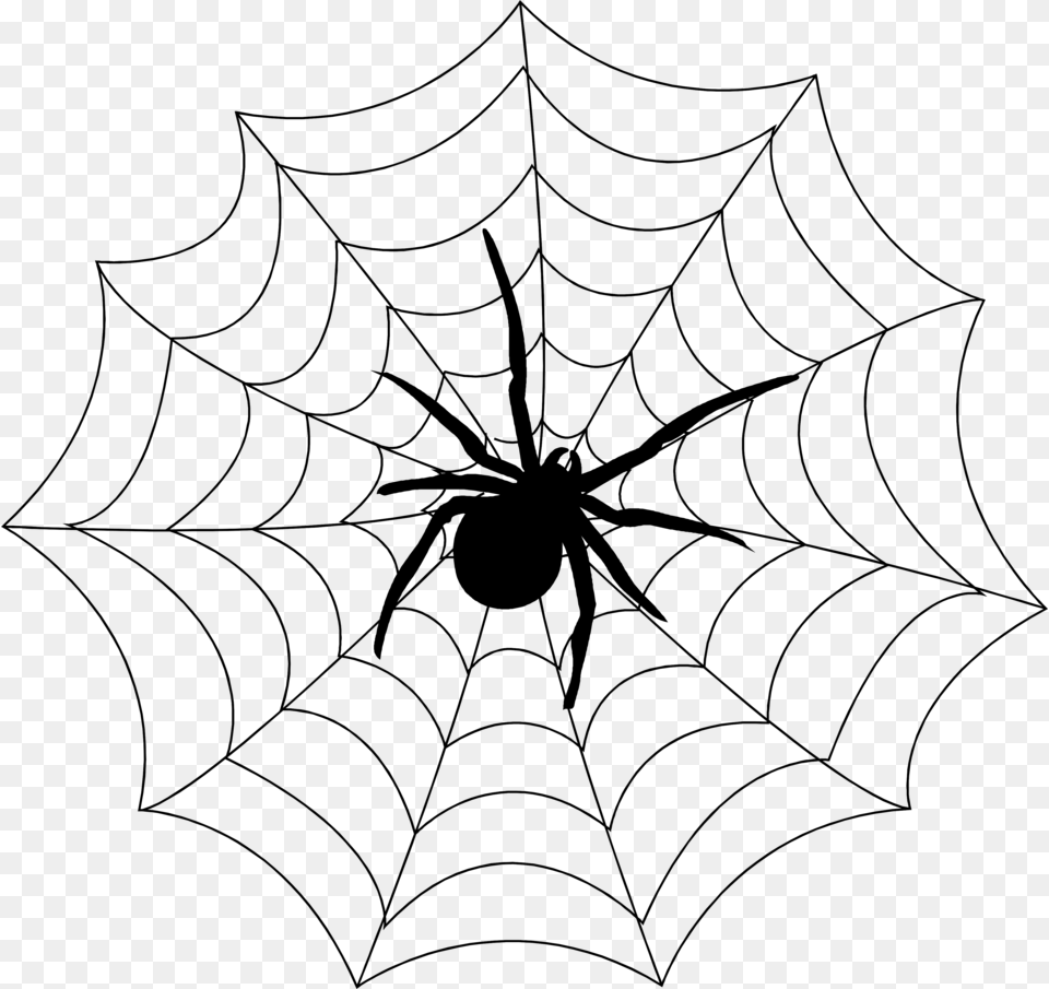 Spider Web Spider Stock Photo A Spider On A Spider Web Of A Spider, Gray Free Png