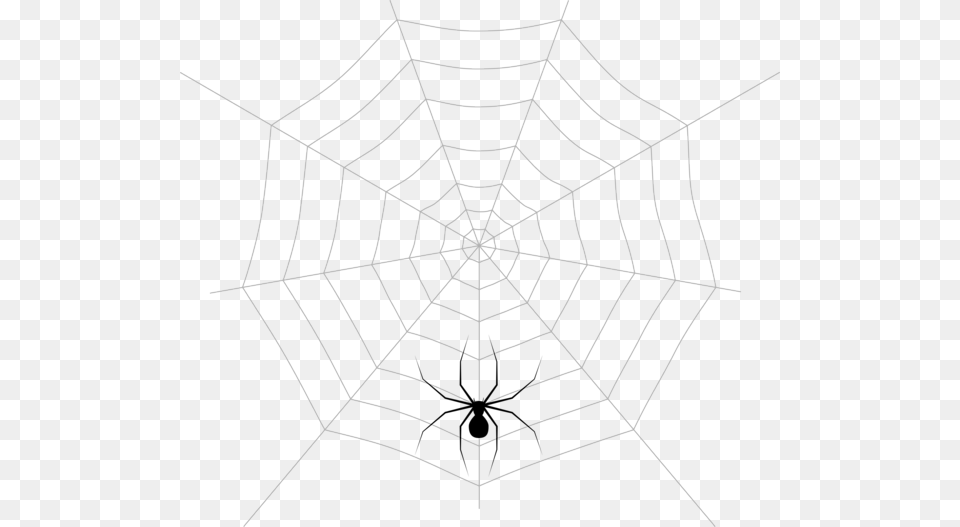 Spider Web Spider Man Pattern Angle Spider Web, Spider Web, Animal, Reptile, Sea Life Png