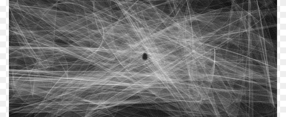 Spider Web Texture Monochrome, Accessories, Adult, Bride, Female Free Png