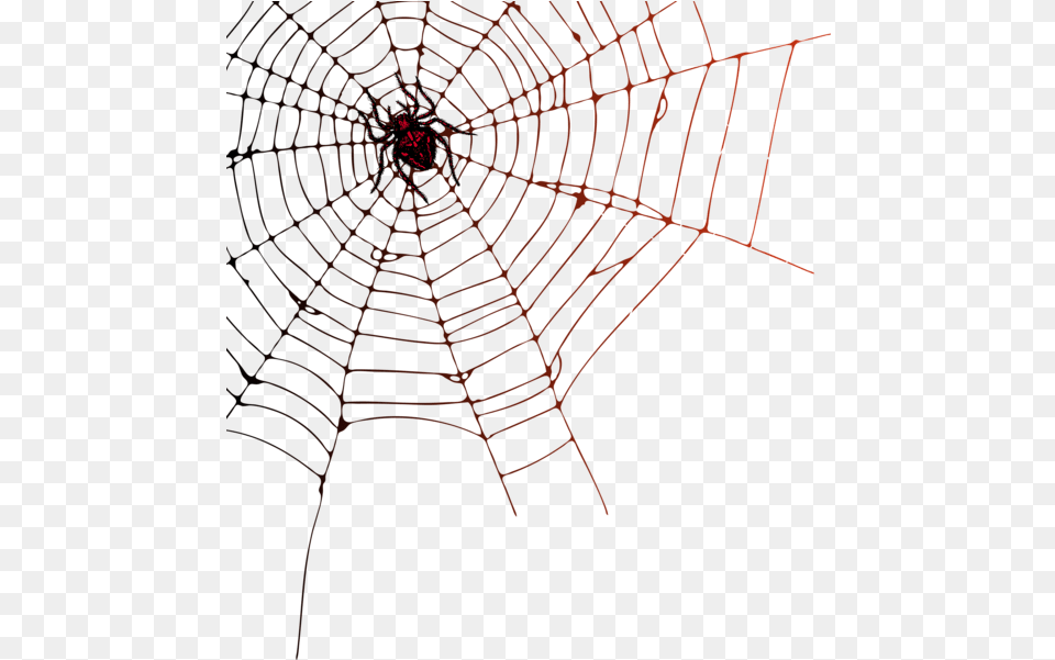 Spider Web Transparent Background Spider Web, Spider Web Free Png