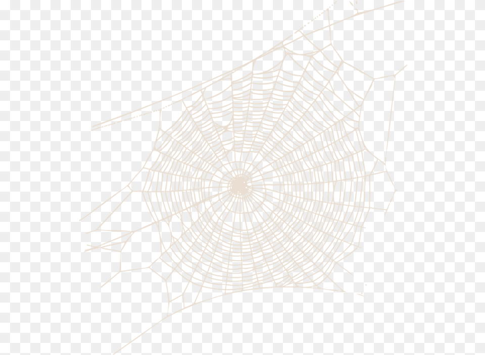 Spider Web Transparent Cool Spider Web, Spider Web Png Image