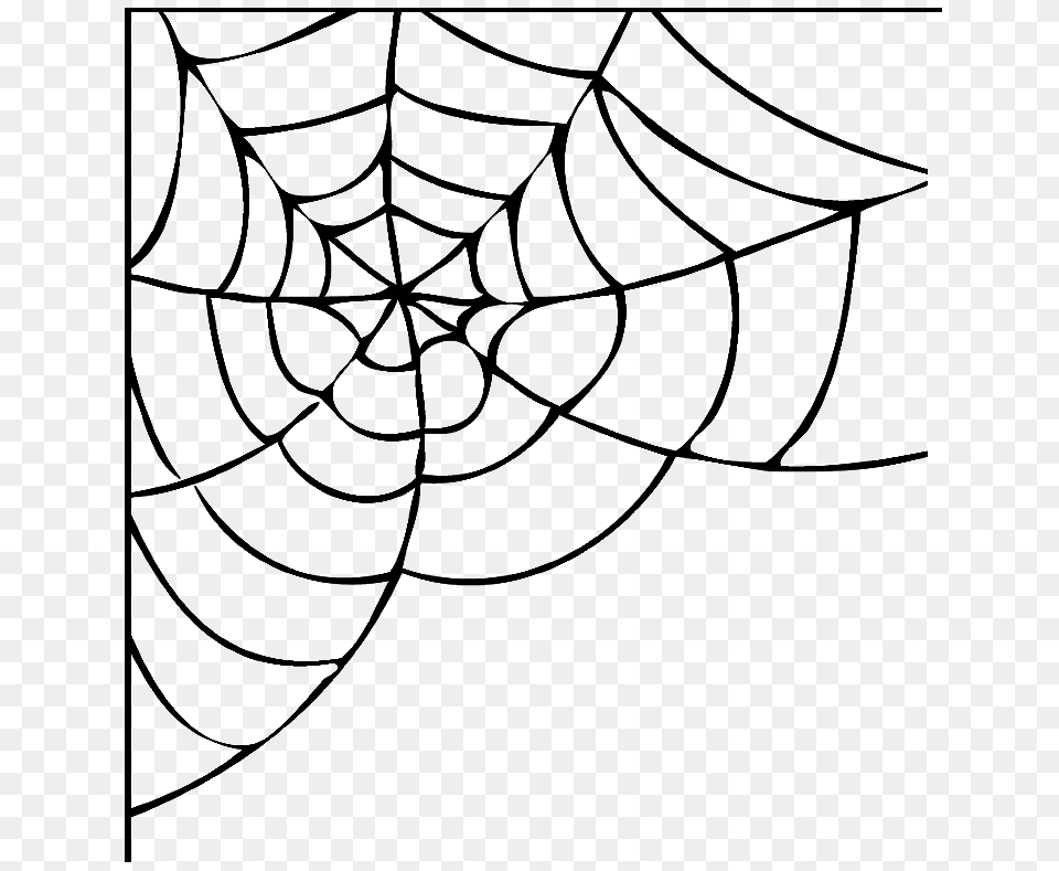 Spider Web Transparent Images, Gray Png