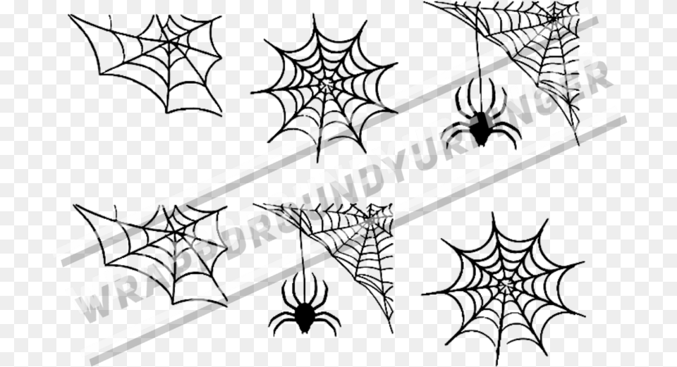 Spider Webs Background Spider Web Design, Spider Web Png Image