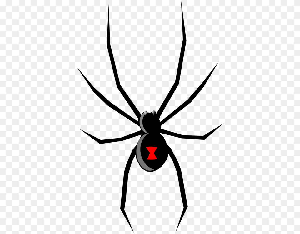 Spider Western Black Widow Southern Black Widow Drawing Brown, Logo Free Png