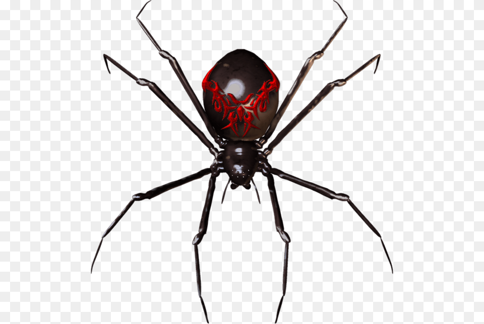 Spider Widget Clip Art, Animal, Invertebrate, Black Widow, Insect Free Transparent Png