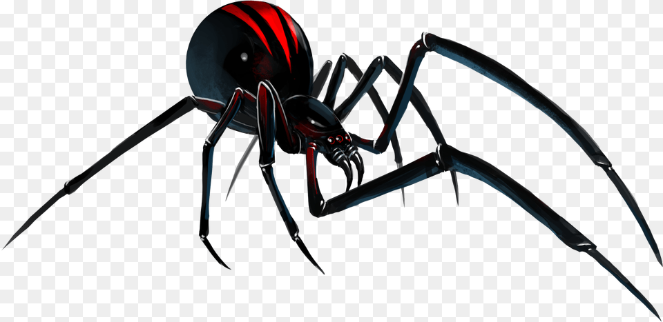 Spiderblack Spider Transparent Background Black Widow Spider, Animal, Invertebrate, Black Widow, Insect Free Png