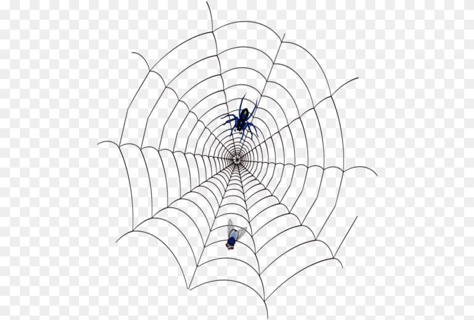 Spidercobweb Con Su Presa, Chandelier, Lamp, Spider Web, Animal Free Transparent Png