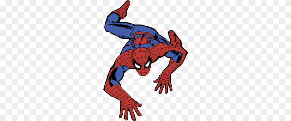Spiderman, Baby, Person Free Png