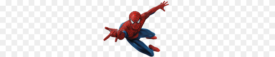Spiderman, Person Png Image