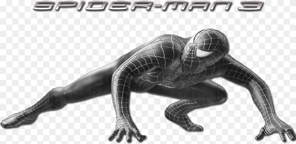 Spiderman, Animal, Lizard, Reptile, Alien Free Transparent Png