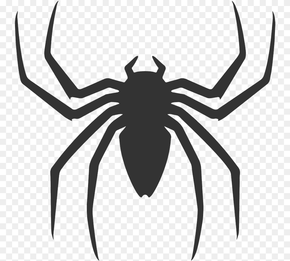 Spiderman Back Spider Logo Spider Man 2 2004 Spider Logo, Stencil, Animal, Invertebrate, Person Free Transparent Png