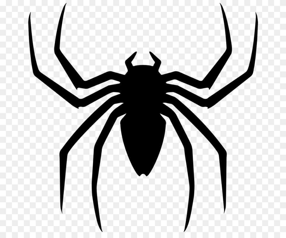 Spiderman Logo Freetoedit, Gray Png