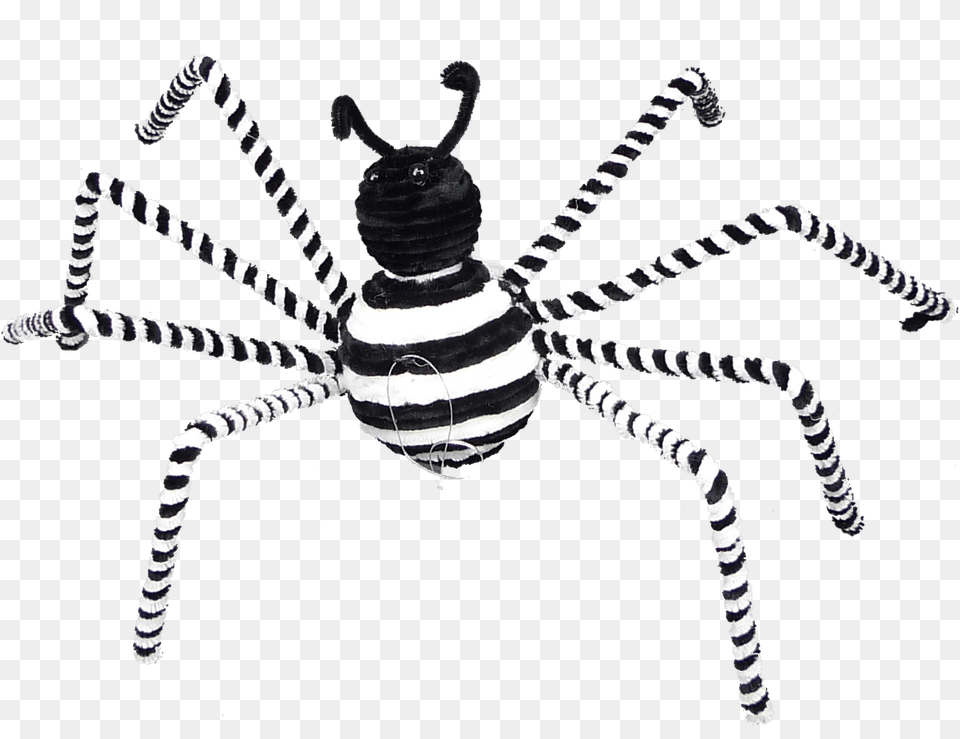Spiders Black And White, Animal, Bee, Insect, Invertebrate Png Image