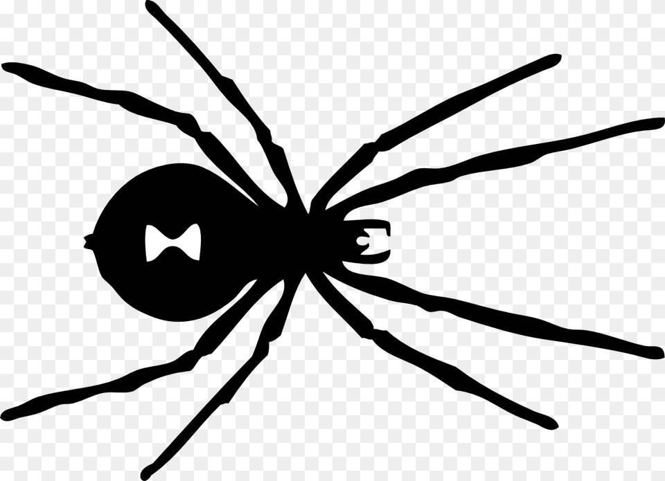 Spiders Clipart Black And White Clip Art Images, Animal, Invertebrate, Spider, Bow Free Png