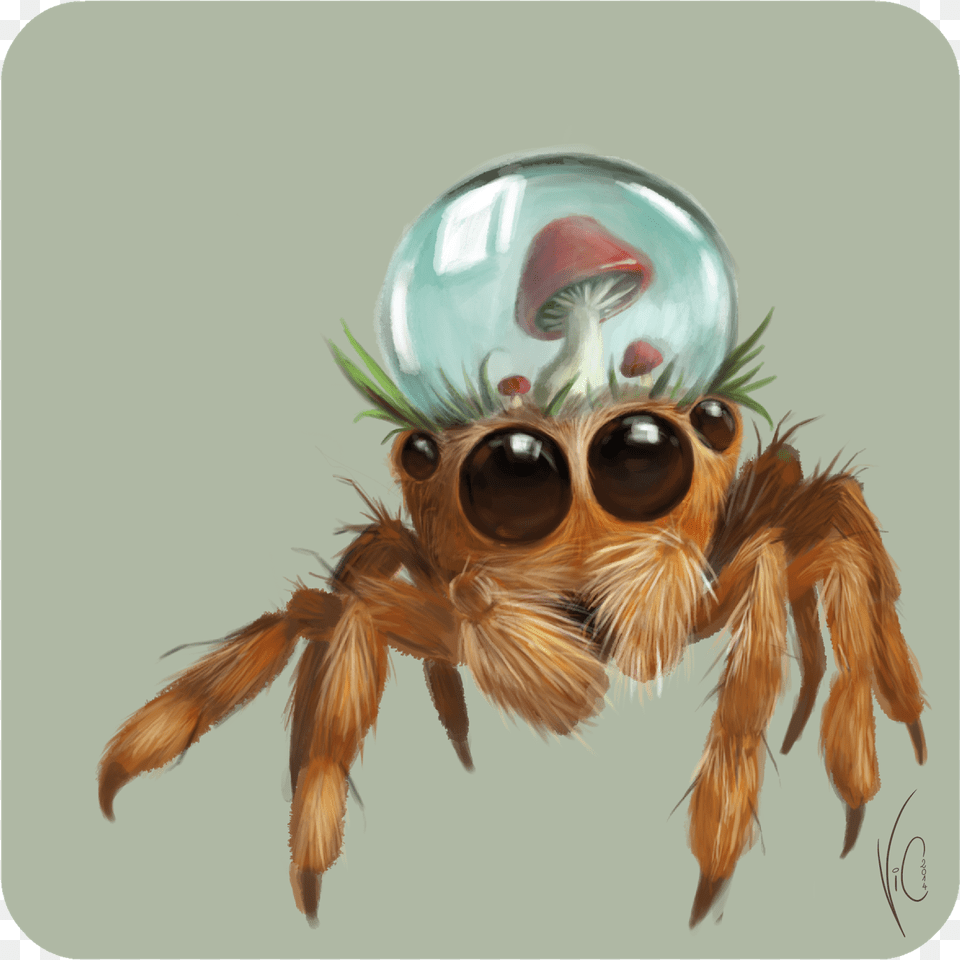 Spiders Drawing Creepy Honeybee, Animal, Invertebrate, Spider Png Image