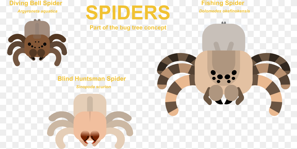 Spiders Part Of The Bug Tree Stats And Pngu0027s In Comments Clip Art, Animal, Spider, Invertebrate, Person Free Png Download