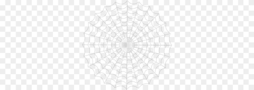 Spiders Web Spider Web Png