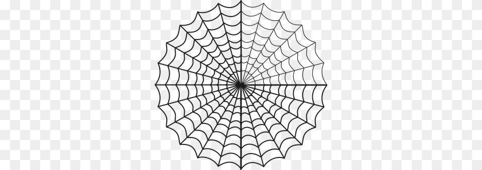 Spiders Web Spider Web Free Transparent Png