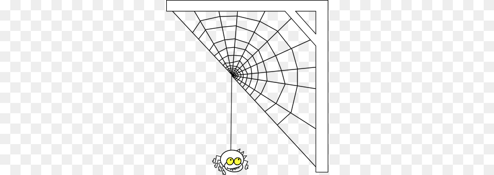 Spiderweb Spider Web Free Transparent Png