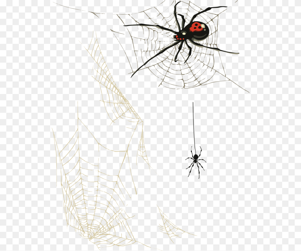 Spiderweb Clipart Food Web Picture Webs With Spider Art, Animal, Invertebrate, Spider Web Png Image