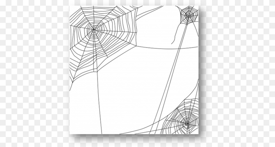 Spiderweb Spider Web, Spider Web Free Png Download