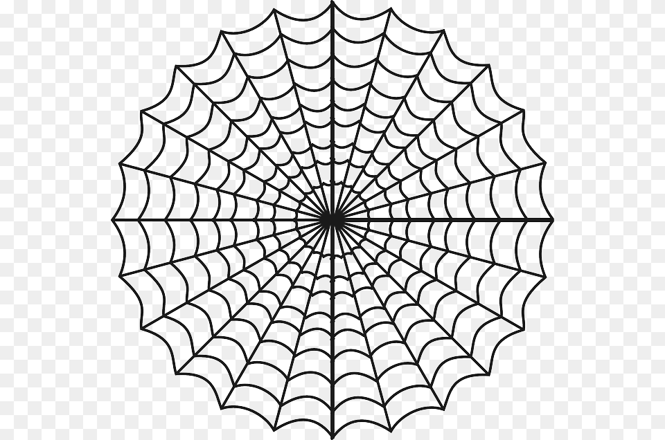 Spiderweb Spider39s Web Web Spider Black Halloween Lift The Flap Shadow Book Book, Spider Web Free Png