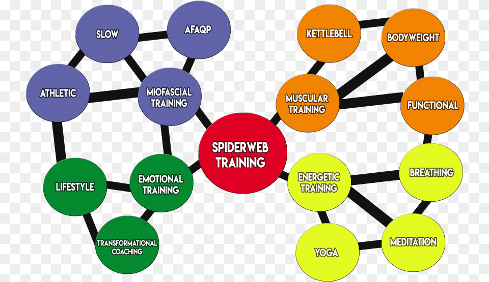 Spiderweb Trainingmethod Discover Your True Self Sharing, Nature, Night, Outdoors, Diagram Free Transparent Png