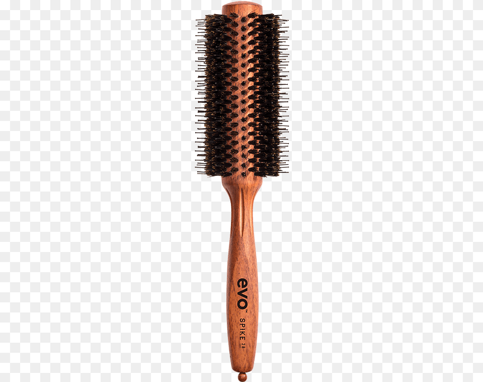 Spike Bristle, Brush, Device, Tool Free Png