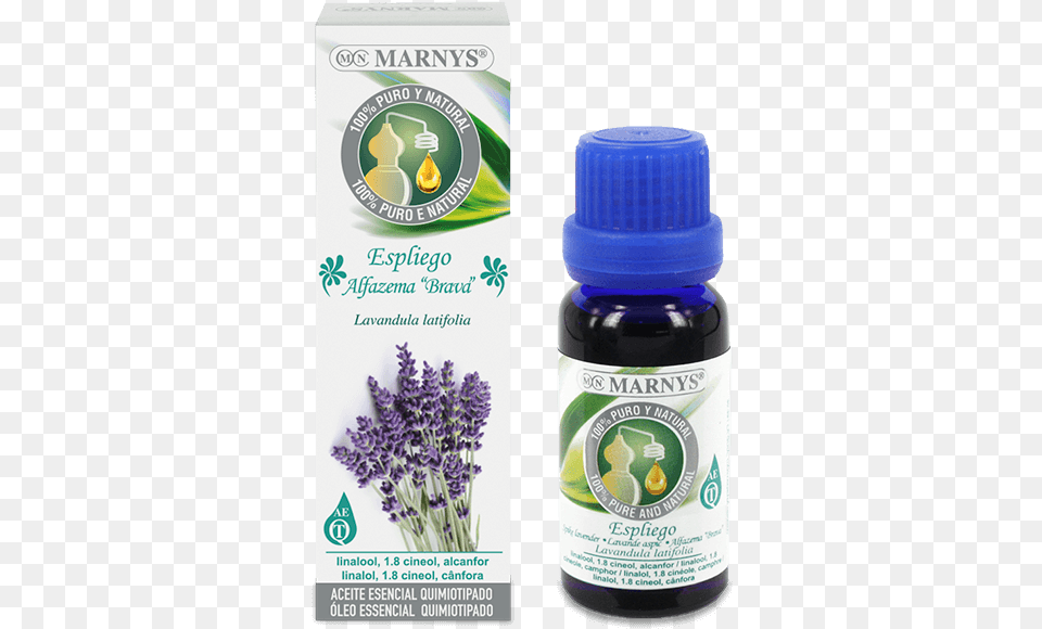 Spike Lavender Essential Oil Aceite De Anis De Estrella, Flower, Herbal, Herbs, Plant Png
