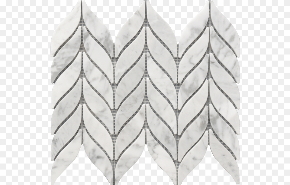 Spike Marble, Leaf, Plant, Home Decor, Pattern Png Image