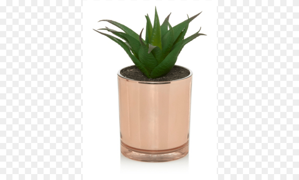 Spikey Succulent Plant In Copper Pot Succulent In Copper Pot, Jar, Planter, Potted Plant, Pottery Free Png