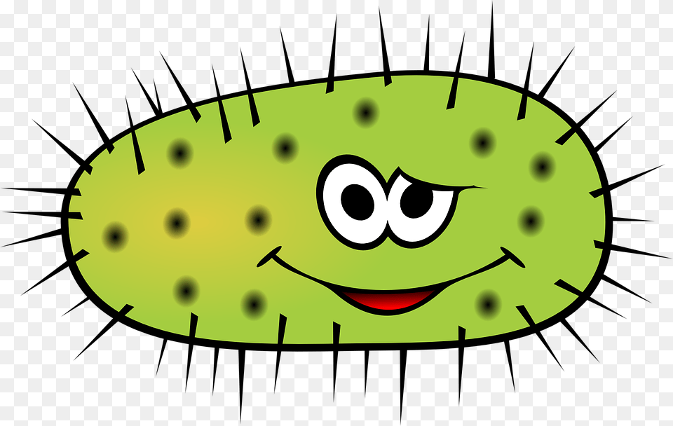 Spiky Bacteria Cartoon, Cucumber, Food, Plant, Produce Png Image