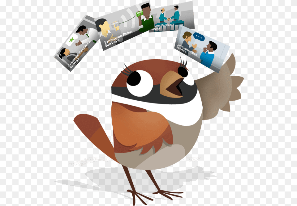 Spin A Student Experience Survey And Understand Their Cartoon, Animal, Beak, Bird, Person Free Transparent Png