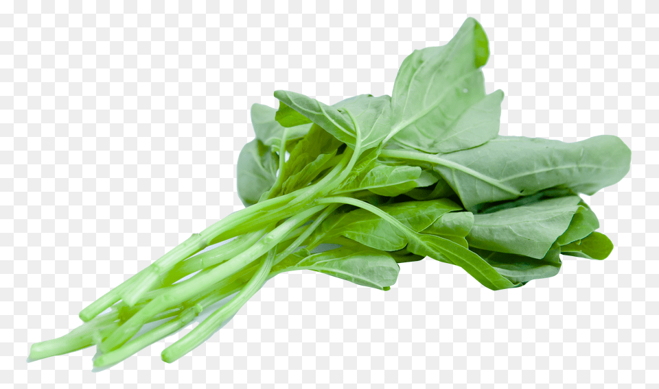 Spinach, Food, Leafy Green Vegetable, Plant, Produce Png