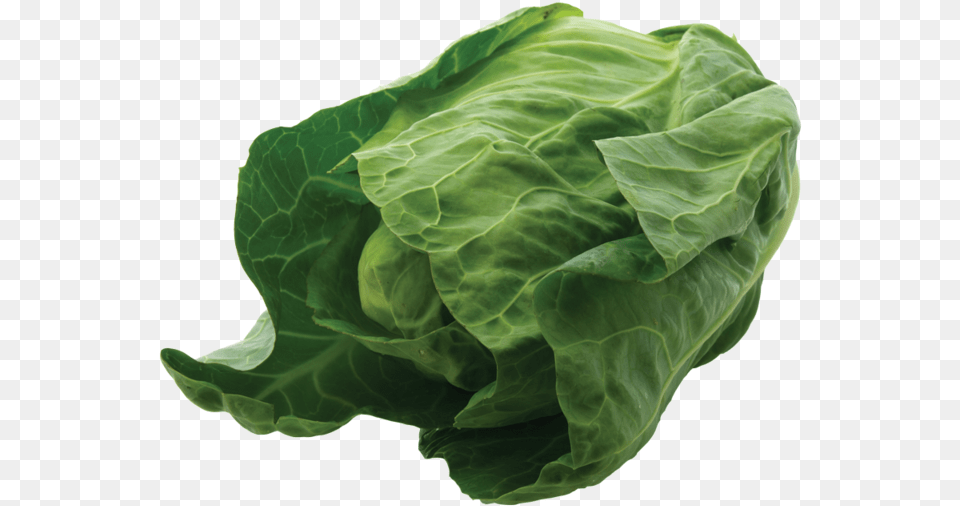 Spinach, Food, Leafy Green Vegetable, Plant, Produce Png