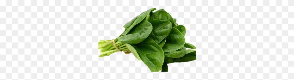 Spinach, Food, Leafy Green Vegetable, Plant, Produce Png Image