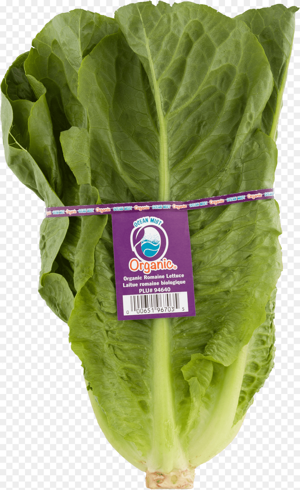Spinach, Food, Lettuce, Plant, Produce Free Transparent Png