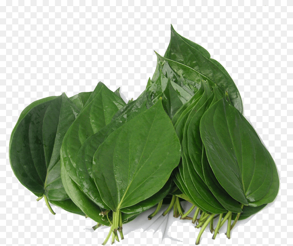 Spinach, Flower, Leaf, Plant, Herbal Png Image