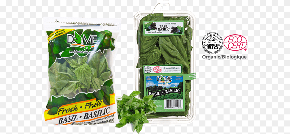 Spinach, Herbs, Plant, Food, Leafy Green Vegetable Free Transparent Png