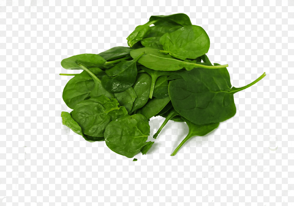 Spinach, Food, Leafy Green Vegetable, Plant, Produce Free Png Download