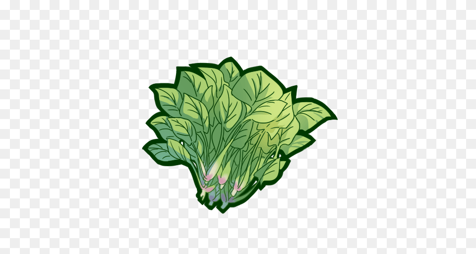 Spinach, Food, Produce, Leafy Green Vegetable, Plant Png Image