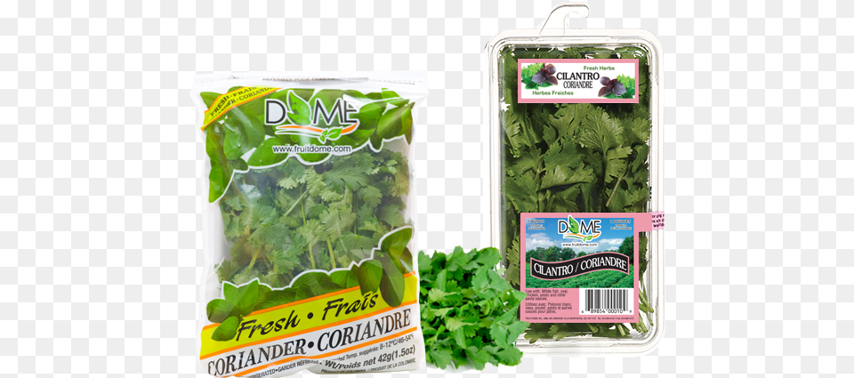 Spinach, Herbs, Plant, Parsley, Herbal Png