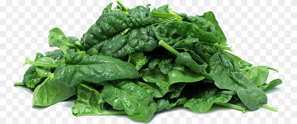 Spinach, Food, Leafy Green Vegetable, Plant, Produce Free Png Download