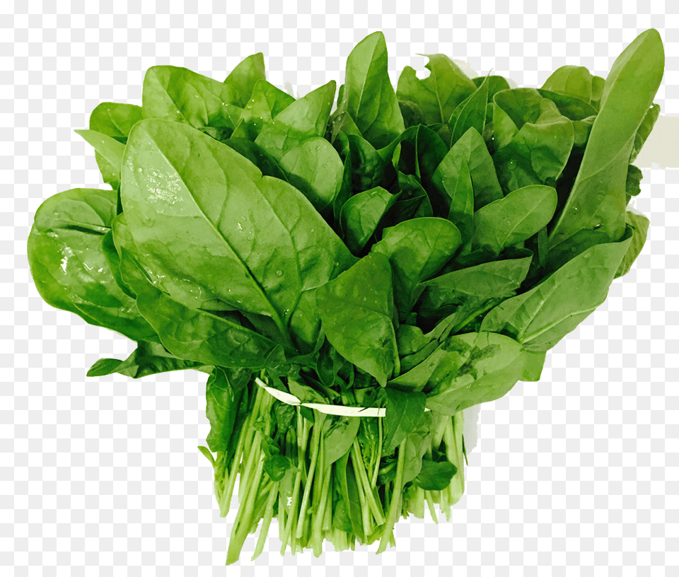 Spinach, Food, Leafy Green Vegetable, Plant, Produce Free Transparent Png