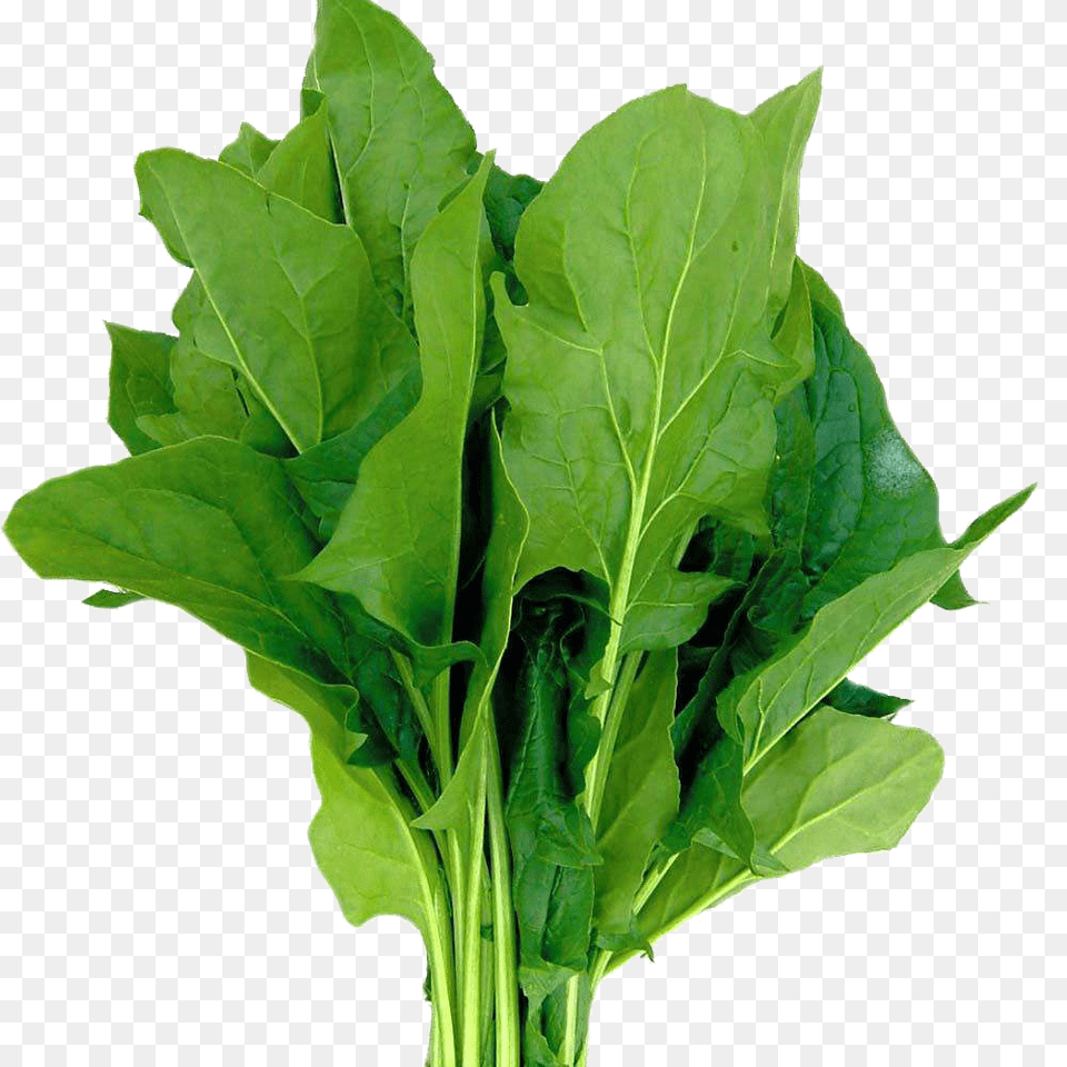 Spinach, Food, Leafy Green Vegetable, Plant, Produce Png Image