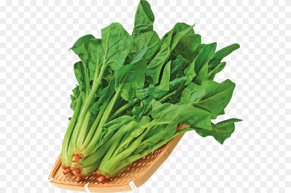 Spinach, Food, Leafy Green Vegetable, Plant, Produce Png Image