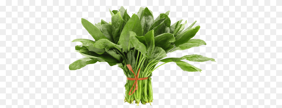 Spinach, Plant, Food, Leafy Green Vegetable, Produce Free Transparent Png