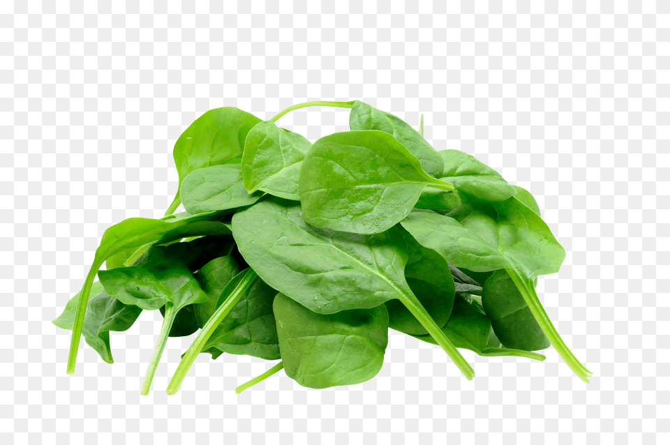 Spinach, Food, Leafy Green Vegetable, Plant, Produce Free Png Download