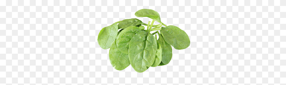 Spinach, Food, Leafy Green Vegetable, Plant, Produce Free Png